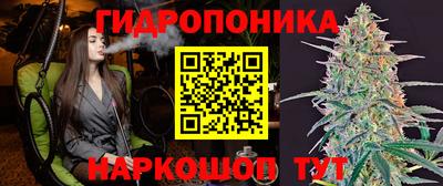 круглые Новокубанск