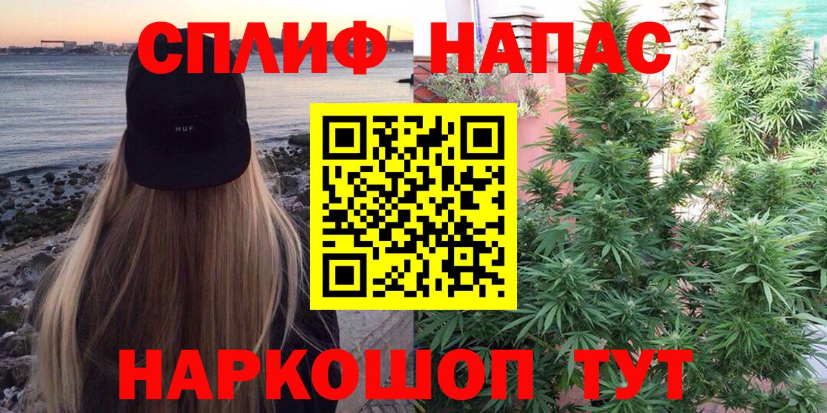 Канабис SATIVA & INDICA  Бошки марихуана план  Свободный  Каннабис индика  Вход с VPN 